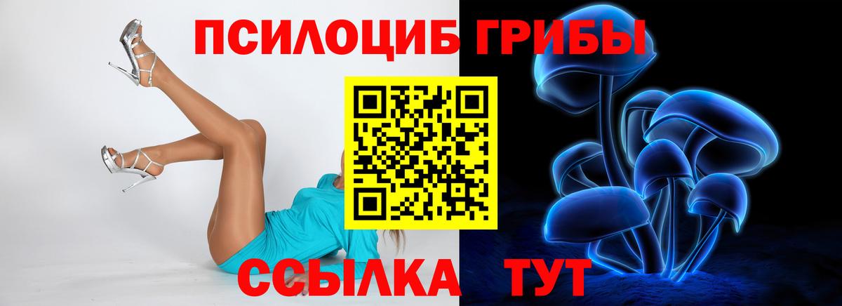 Черняховск  Псилоцибиновые грибы MAGIC MUSHROOMS  Вход с VPN 