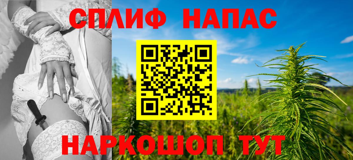 Конопля OG Kush Черняховск